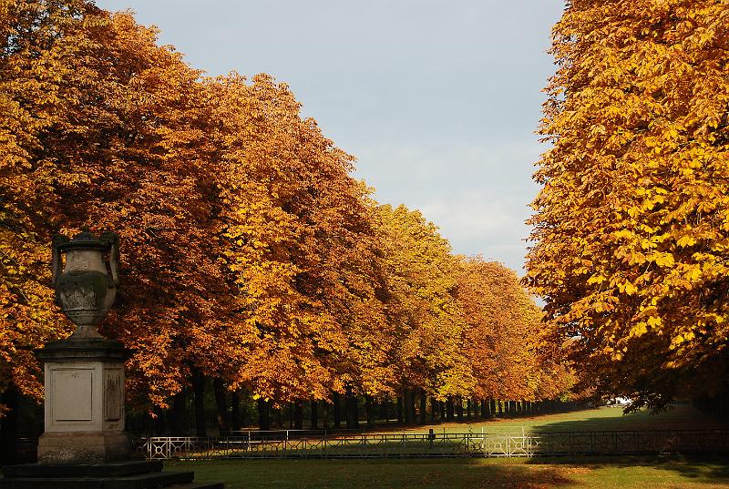 2009-10-26, Herbstfärbung (6).JPG